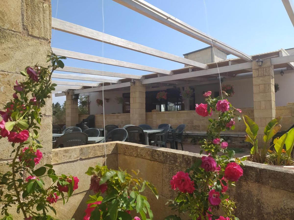 Agriturismo Terra D'Ulivi Porto Cesareo Exterior foto
