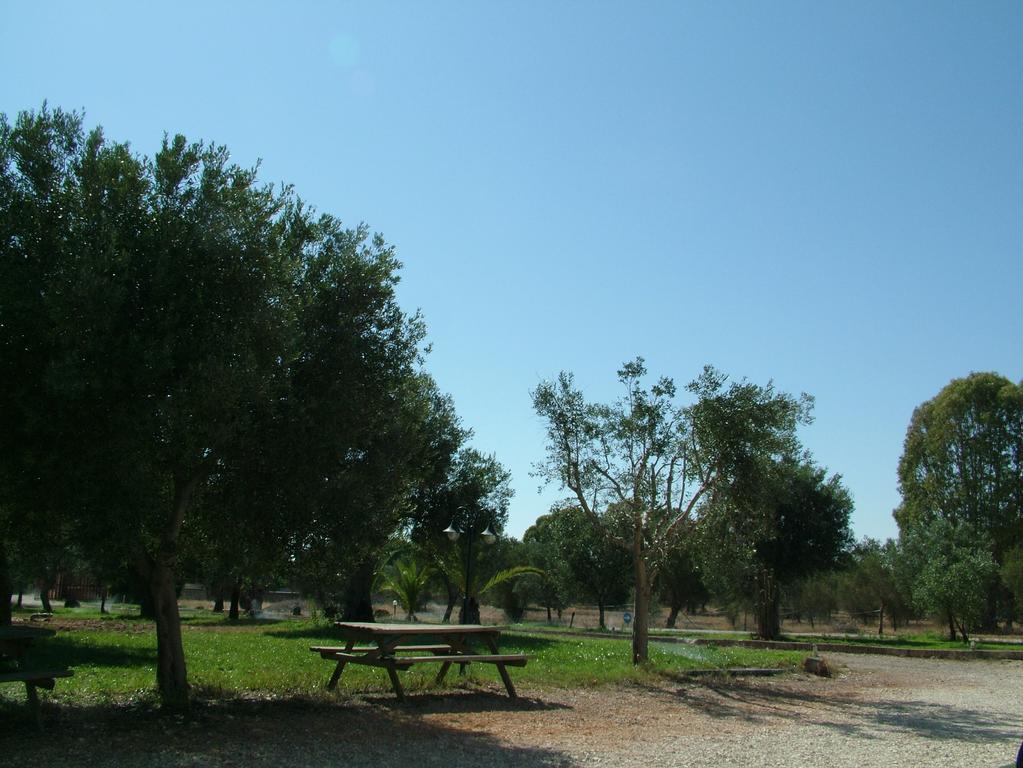 Agriturismo Terra D'Ulivi Porto Cesareo Habitación foto