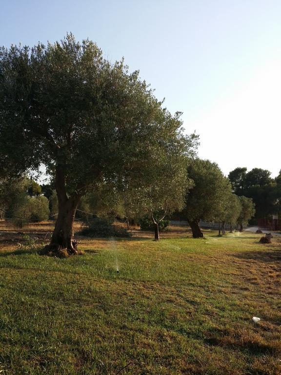 Agriturismo Terra D'Ulivi Porto Cesareo Habitación foto